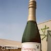 Champagnefles (opblaasbaar)